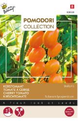 Pomodori Collection Tomato Cherry Dolly F1 Seeds